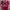 Jersey Home Benfica 2019/2020 photo 1