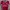 Jersey Home Benfica 2019/2020