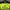 1990s - Jersey Ikonik Dortmund 96/97 photo 3