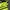1990s - Jersey Ikonik Dortmund 96/97 photo 6