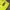 1990s - Jersey Ikonik Dortmund 96/97 photo 7