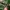 Rayban Wayfarer Black Glossy Classic Italy 50mm RB2140 photo 7