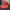 Nike Streetwear Casual Kids red photo 2
