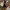 Rayban Wayfarer Square Black Glossy Classic Green Lens photo 2