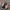 Rayban Wayfarer Square Black Glossy Classic Green Lens photo 3