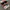 Rayban Wayfarer Square Black Glossy Classic Green Lens photo 1