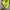 Eider gorpcore jacket outdoor photo 4