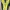 Eider gorpcore jacket outdoor photo 3