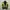 Eider gorpcore jacket outdoor photo 5