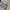 Clap korean long pants jeans loose fit photo 8