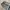Clap korean long pants jeans loose fit photo 5