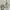 Streetwear Casual Shoulder bag Wanita white photo 3