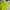 Jaket Neon