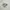 Nike Air jordan photo 1