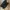 Woman Flat shoes photo 4