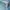 Tracktop Adidas germany ice blue photo 5
