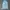 Tracktop Adidas germany ice blue photo 1