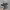 vans authentic photo 1
