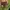Gorpcore Sportswear Windbreaker Pria green photo 3