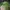 Gorpcore Sportswear Windbreaker Pria Green