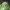 Gorpcore Sportswear Windbreaker Pria green photo 4