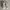 Adidas superstar legit photo 5