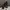 ASTON GREY Rockcastle Leather Zip & Lace Boots | No Box