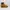 Timberland icon 6" Wheat nubuck photo 3