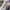 VALENTINO GARAVANI LEATHER TRAINER WHITE GREY , VALENTINO GA photo 7