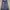 Rok Jeans photo 1