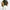 2025 Zara crochet shirt BNWT photo 5