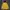 Casual Windbreaker Pria black yellow photo 5
