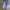 BTV (Beyond The Vines) Cargo Short photo 1