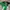 Tokyo Verdy Japan J-League 1995/1996 Mizuno Home photo 1
