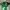 Tokyo Verdy Japan J-League 1995/1996 Mizuno Home
