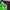 Tokyo Verdy Japan J-League 1995/1996 Mizuno Home photo 2