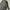 Kangol Streetwear Sportswear Bag Pria black photo 4
