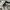Converse Chuck Taylor All Star 70S Low Black White Original photo 7