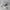 Nike Streetwear Indie Hat Pria multicolor photo 3