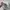 Nike Streetwear Indie Hat Pria multicolor photo 5
