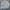 JEANS TRUCKER JACKET photo 1