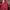 L.L.Bean Vintage Streetwear Windbreaker Pria red photo 2