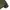 Dickies Streetwear Biker Windbreaker Pria green photo 3