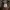 Burberry blue label midi dress novacheck photo 5