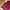 Puffer Vest Maroon Japan Market photo 7