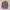 ADIDAS leopard crewneck (KIDS/unisex/3-4 yrs) photo 7