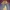 Vintage Y2k lucy fur denim jacket photo 4