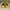 Nike Air Jordan 1 Low Yellow photo 2