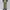 MUSINSA STANDAR TWO TUCK WIDE CHINO PANTS photo 2