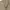 MUSINSA STANDAR TWO TUCK WIDE CHINO PANTS photo 4